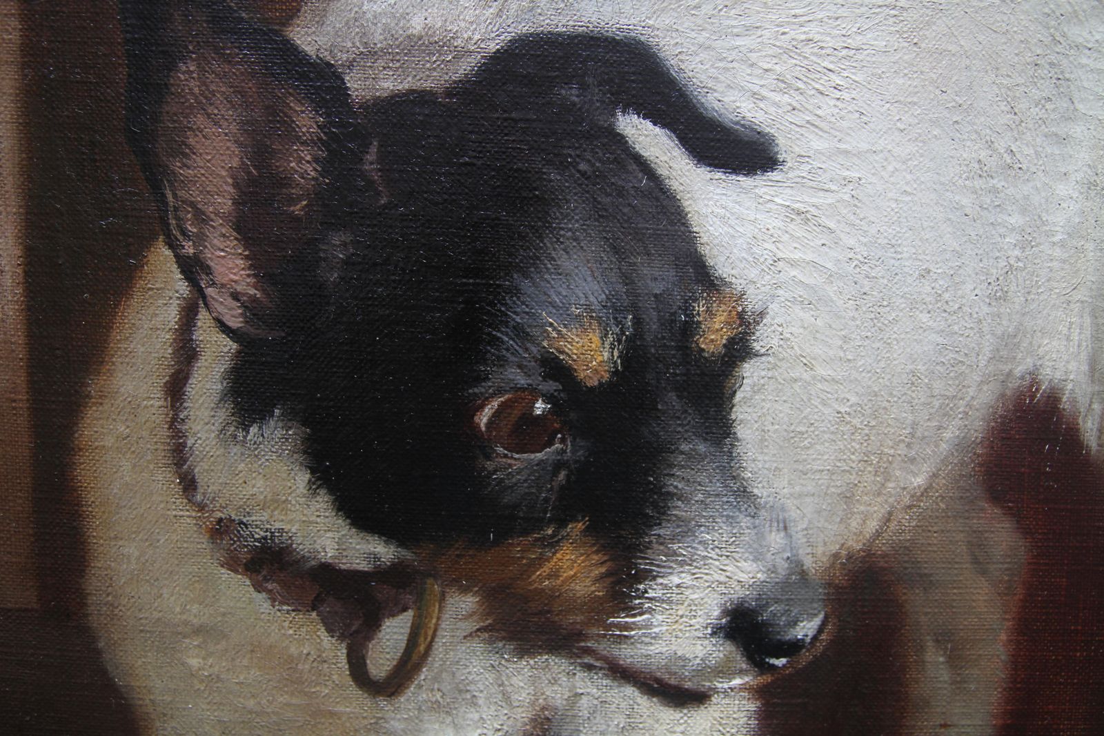 7116.0 Carl Suhrlandtportrait Of A Cat And Dog   Victorian Genre 1884 Animal Art Oil Painting1884 photo