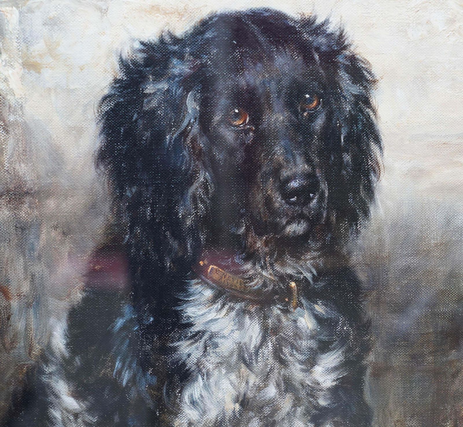 Robert Morleyportrait Of A Spaniel   British Edwardian Art Dog Portrait Oil Painting Circa 1910 photo 7652.0