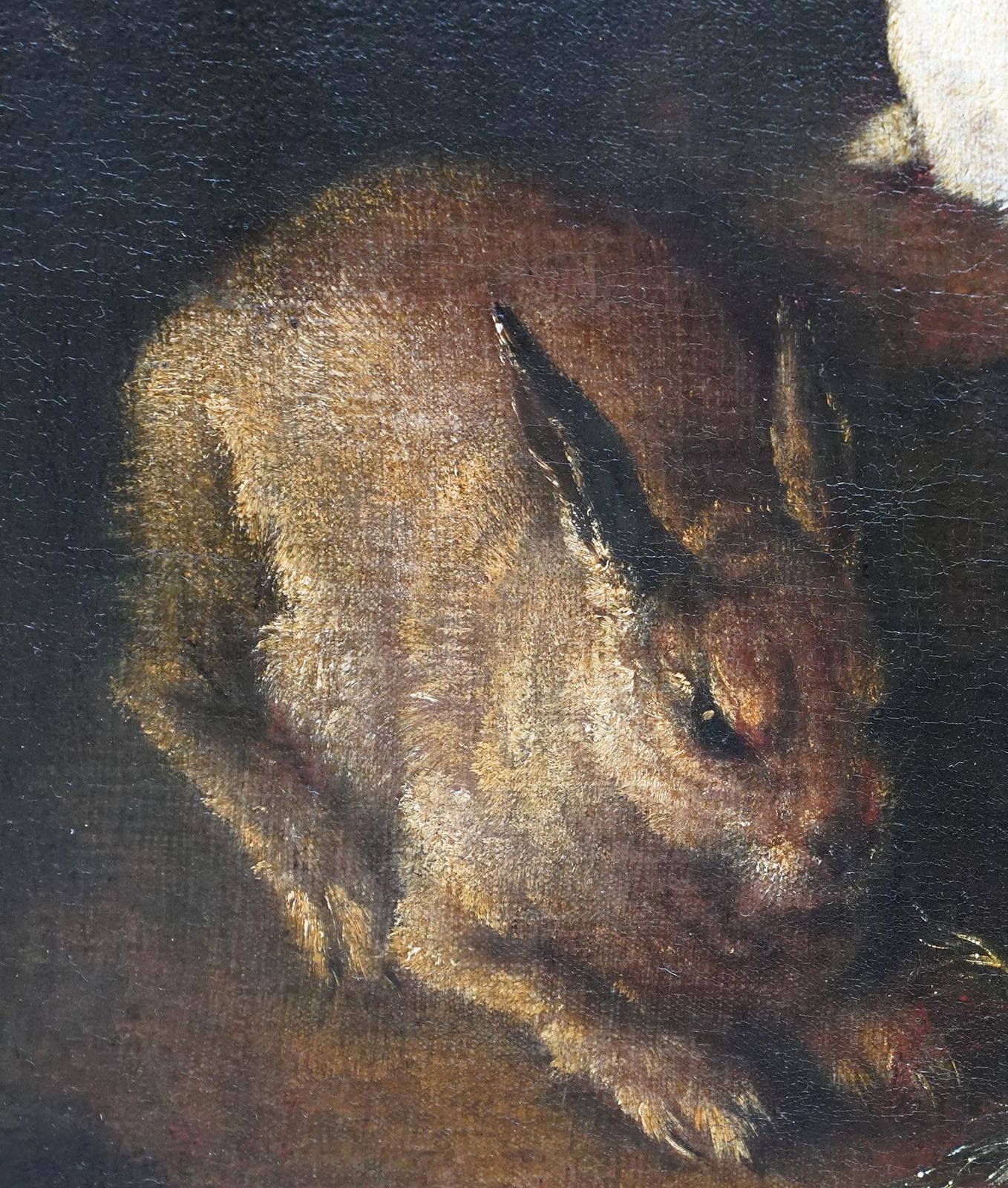 Rabbits Dove And Guinea Pig In An Interior   Italian Old Master Art Oil Paintingcirca 1650 photo vinterior
