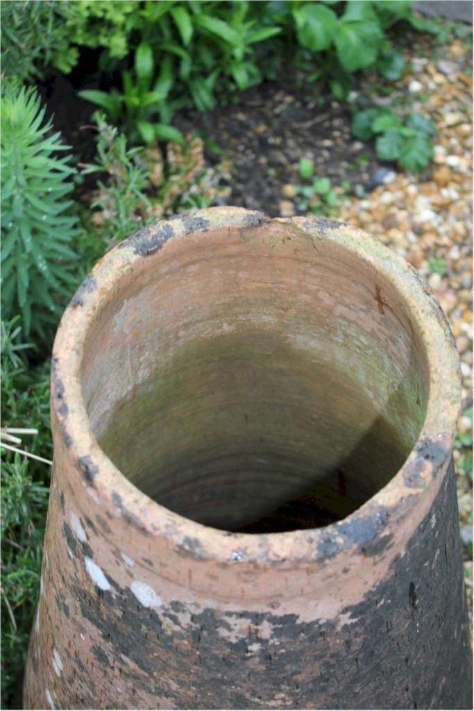Antique Garden Terracotta Rhubarb Forcer photo for sale