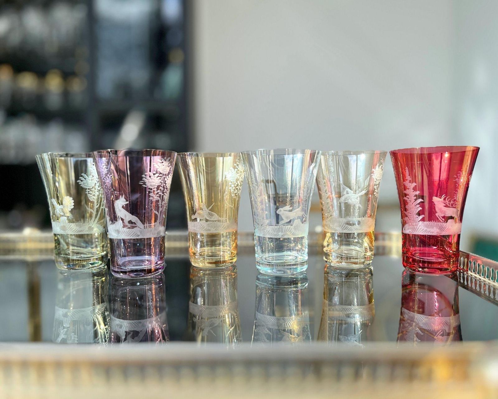 Engraved Color Water Glasses | 6pcs | Antique Glassware | Forest Decor