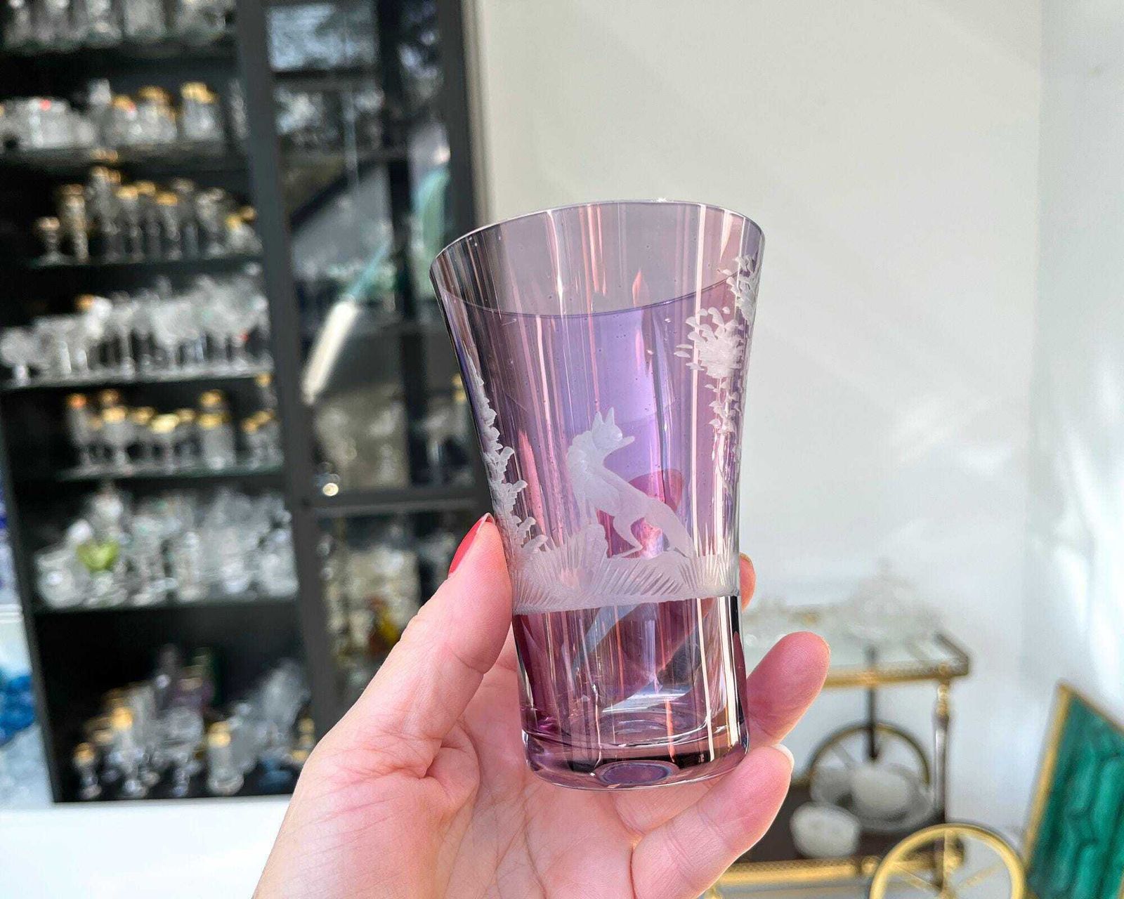 Engraved Color Water Glasses | 6pcs | Antique Glassware | Forest Decor photo buy