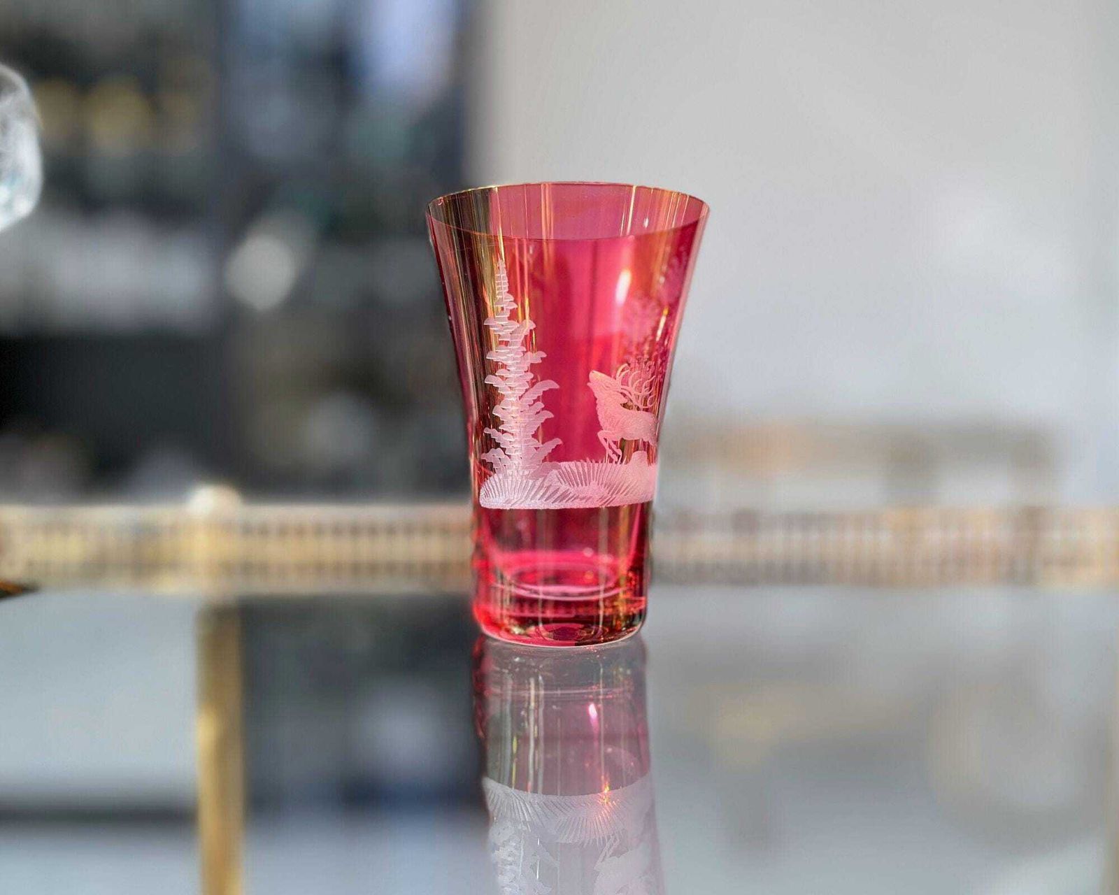 Engraved Color Water Glasses | 6pcs | Antique Glassware | Forest Decor photo vintage