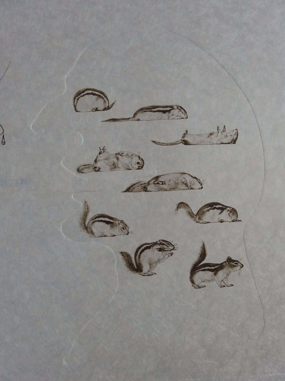 Salvador Dalí­Ten Recipes Of Immortality : Holography Of The Squirrel   Signed Etching1973 photo buy