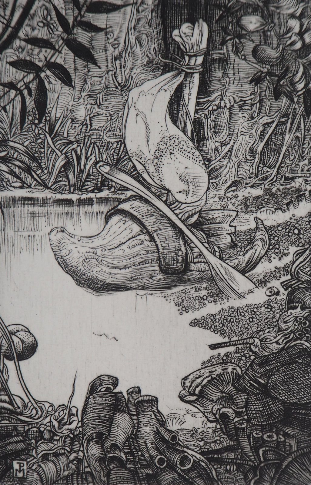 Philippe Mohlitzsurrealist Wetlands, 1986   Original Handsigned Etching1986 photo for sale