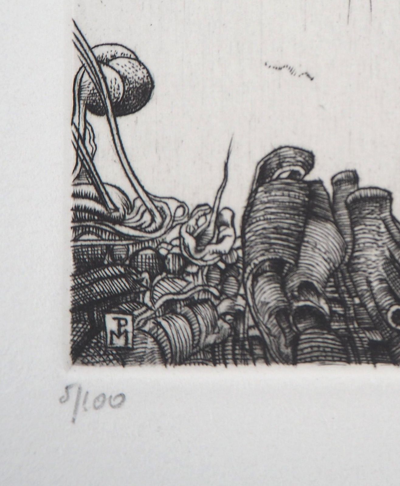 Philippe Mohlitzsurrealist Wetlands, 1986   Original Handsigned Etching1986 photo buy