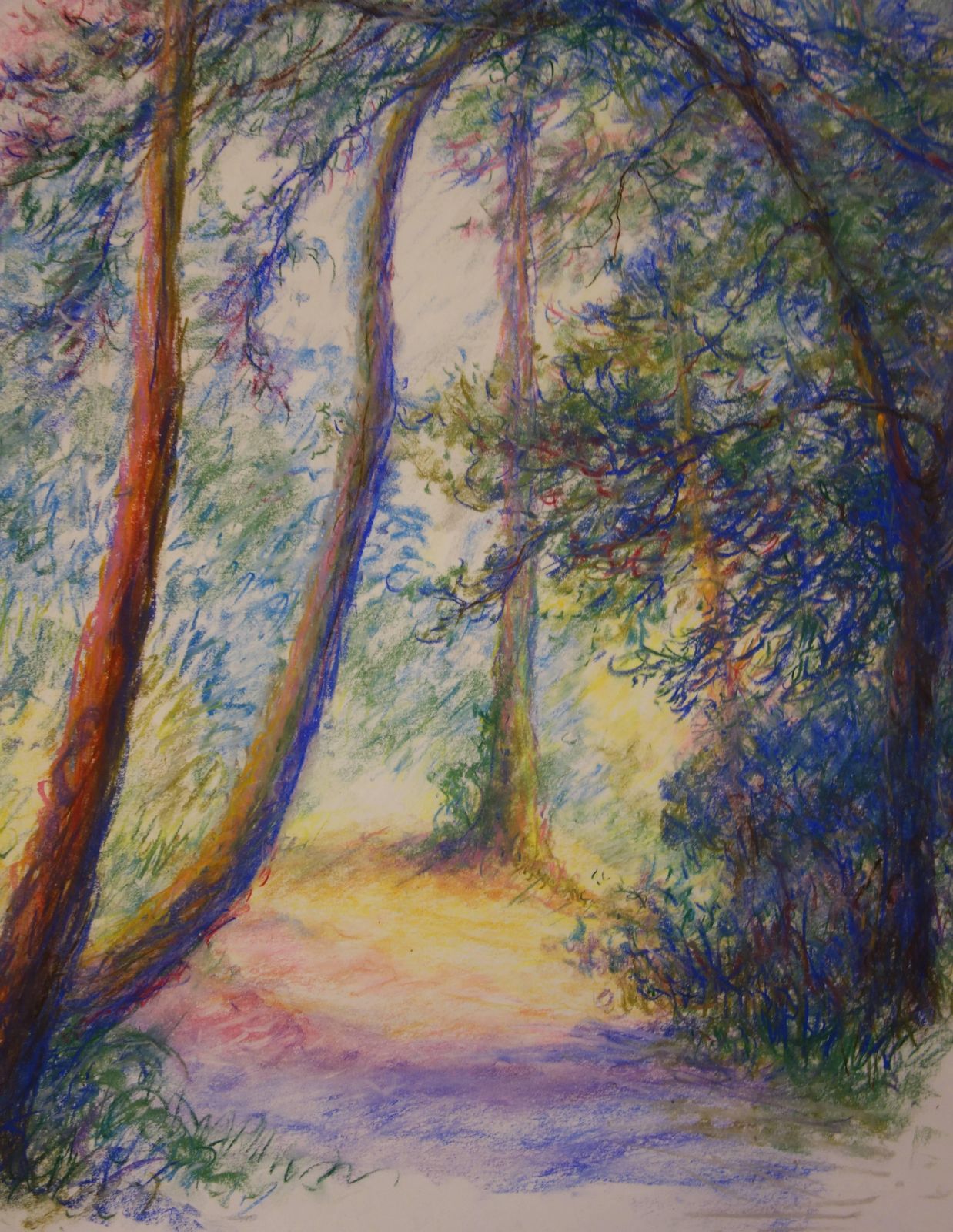 Gaston Coppensfirst Hours Of The Day In The Woods   Original Charcoals Drawing photo for sale