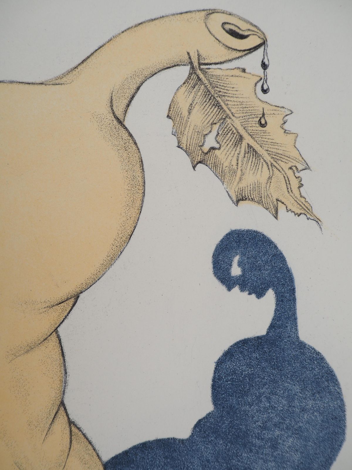 Salvador Dalí­Casanova : A Pear For Thirst   Original Etching (Field #67 4 I)1967 photo 680.0