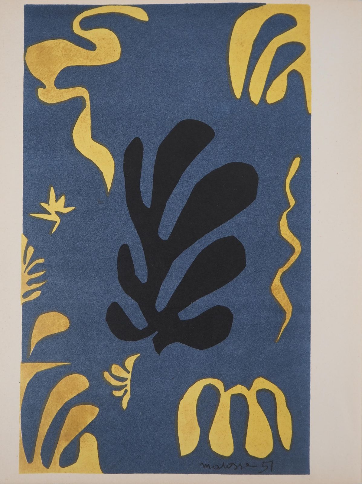 Henri Matisseunderwater Life   Lithograph   San Lazzaro 19541954