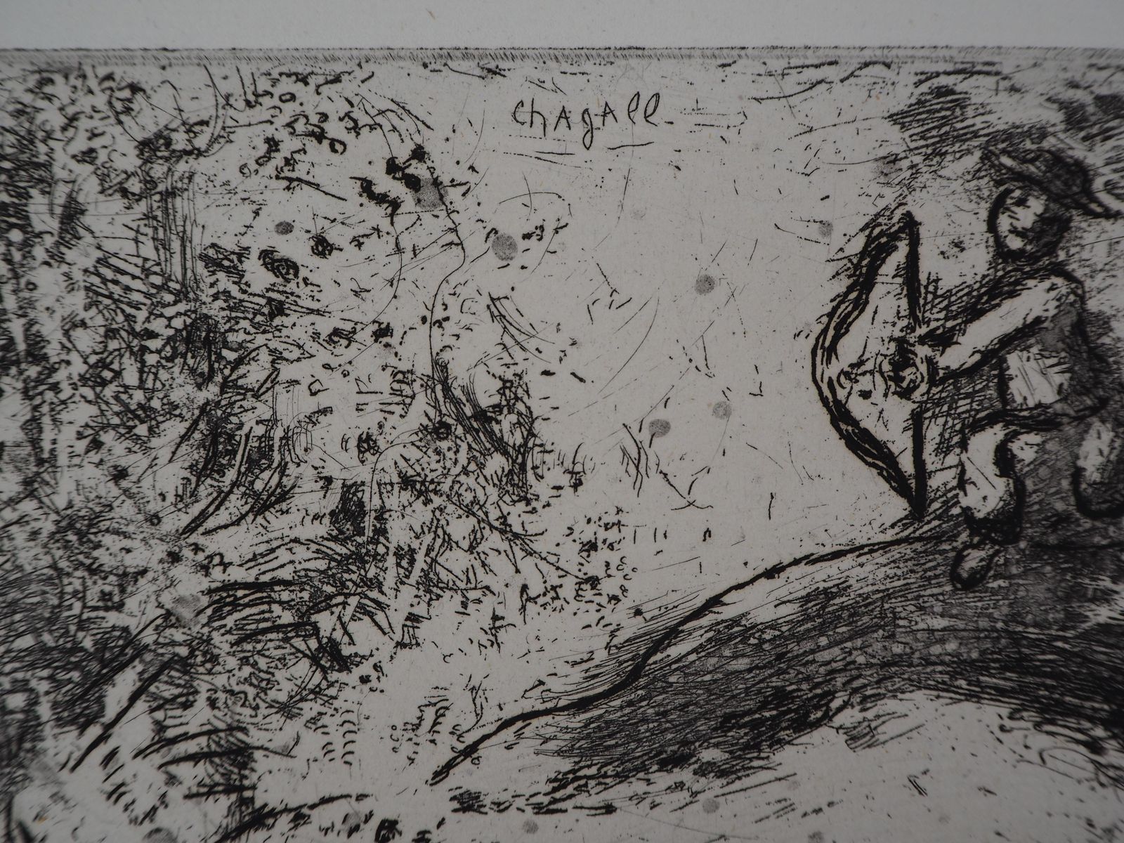 Marc Chagallthe Bird Harmed By An Arrow   Original Etching   Ref. Sorlier #1081952 photo 680.0