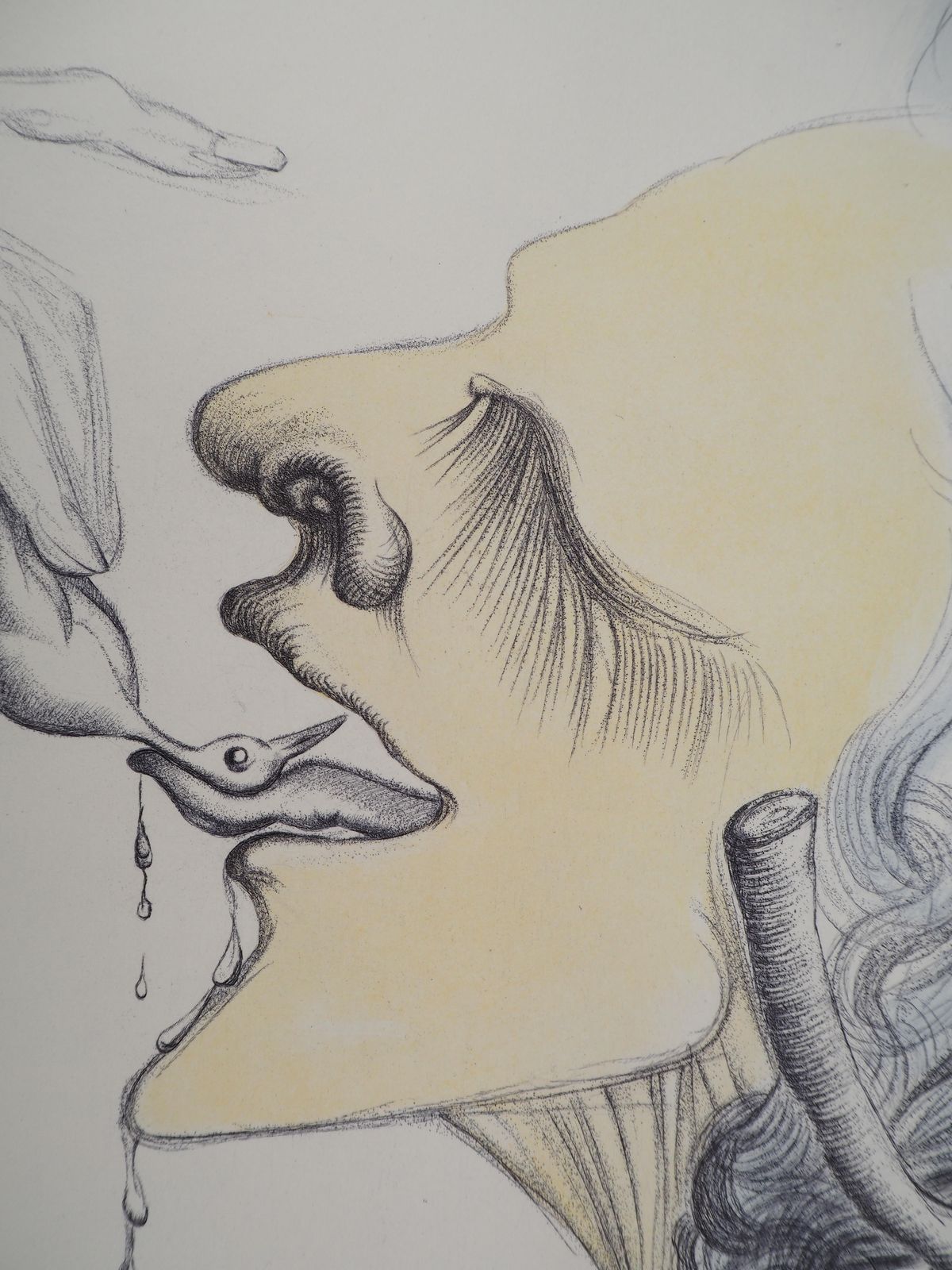 Salvador Dalí­Casanova : Birdy On The Tongue   Original Etching (Field #67 4 F)1967 photo Art