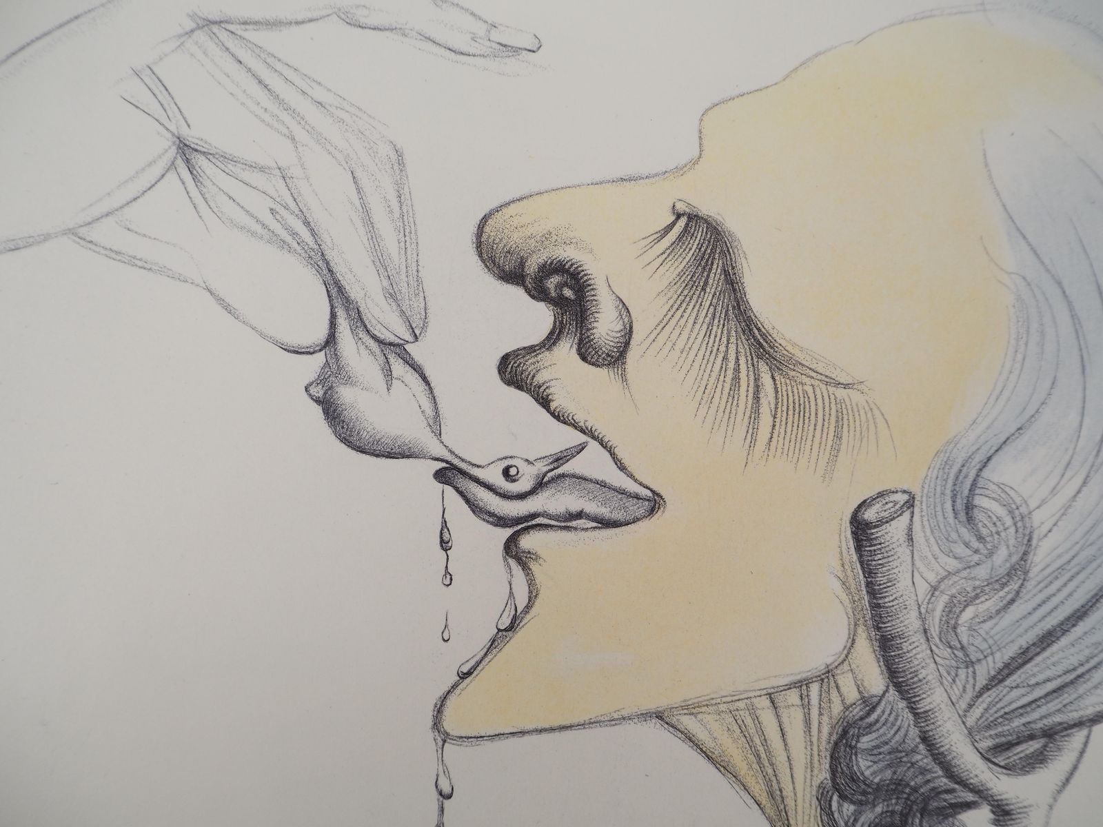 Salvador Dalí­Casanova : Birdy On The Tongue   Original Etching (Field #67 4 F)1967 photo 680.0