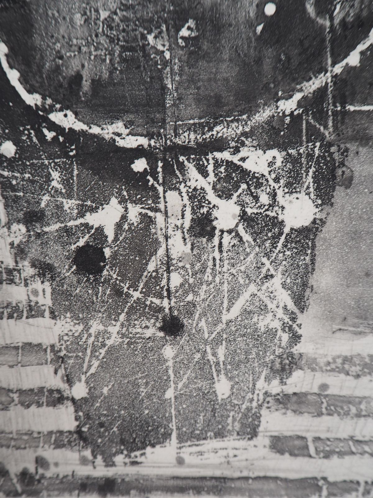 Johnny Friedlaenderfishes   Original Handsigned Etching, 19631963 photo 297.0