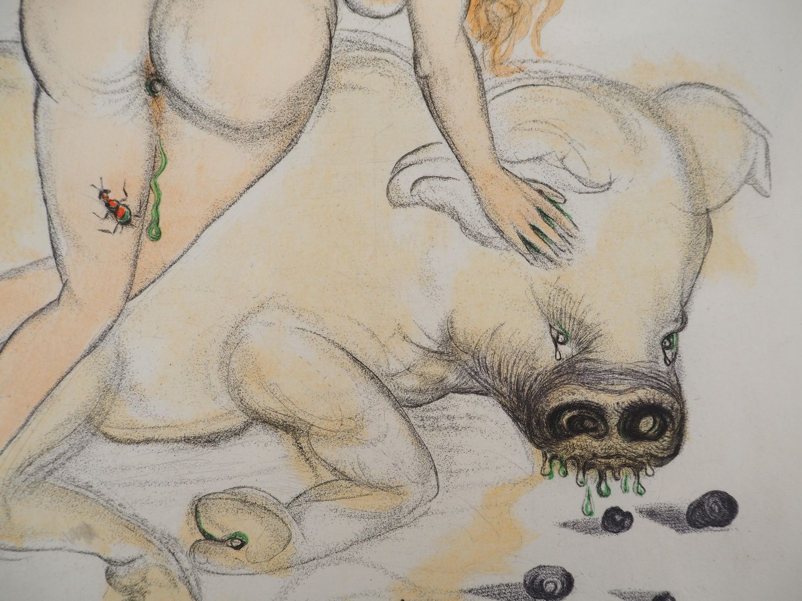 Salvador Dalí­Casanova : Woman And The Truffle Pig   Original Etching (Field #67 4 H)1967 photo vinterior