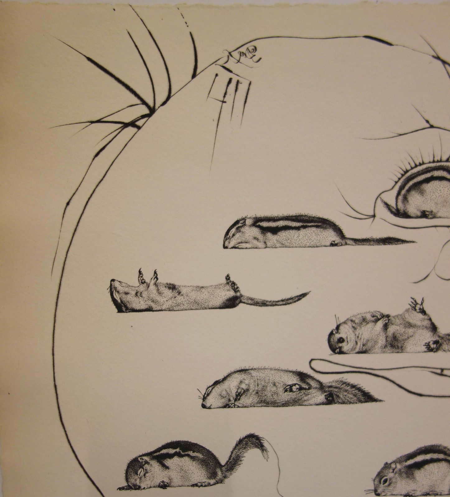 Salvador Dalí­L'homme Ressuscité Par L'holographie De L’écureuil   Original Etching   19731973 photo 1530.0