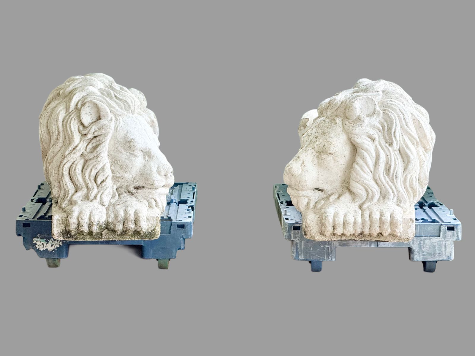 photo vintage Extra Large Pair Painted Cast Stone Lions After Antonio Canova (1757 1822)