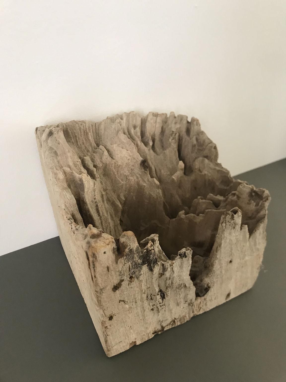 Organic Modern Natural Wooden Hand Carved Abstract Sculpture Or Paperweights photo vintage
