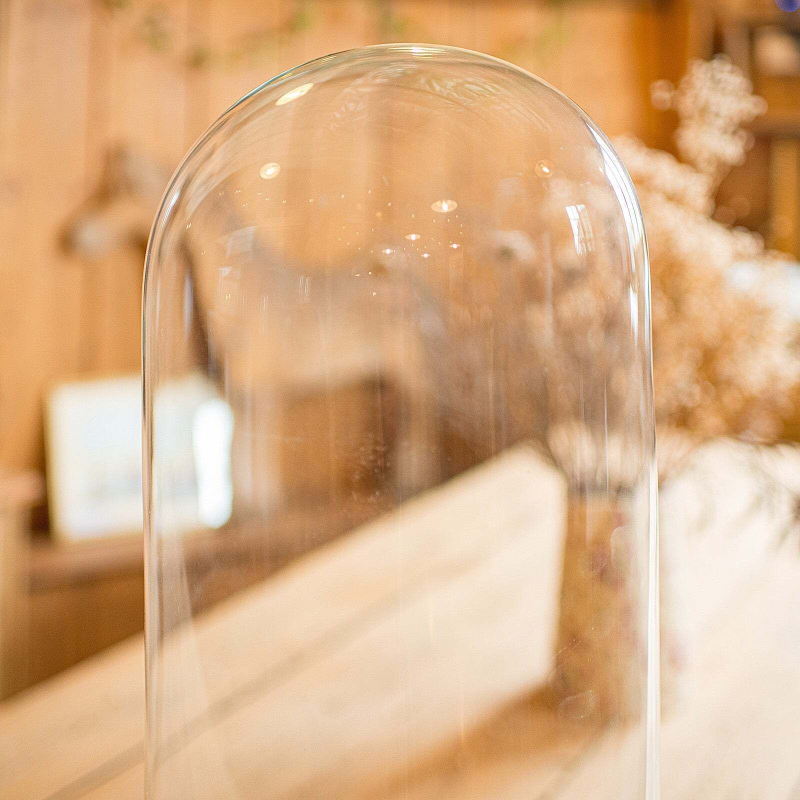 Large Antique Display Dome, Edwardian, Glass, Showcase, Taxidermy, Circa 1910 photo buy