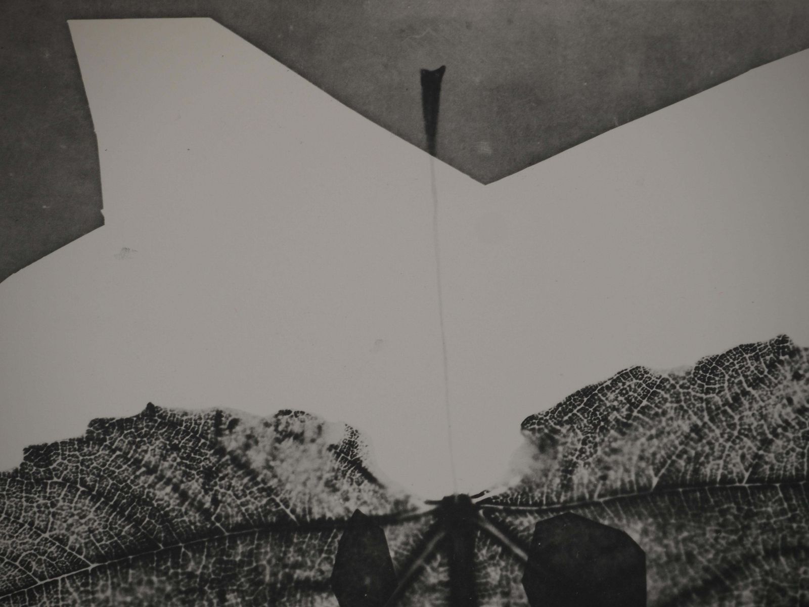 Pablo Picassodiurnes : Midas   Original Collotype And Stencil (Cramer #115)1962 photo vinterior