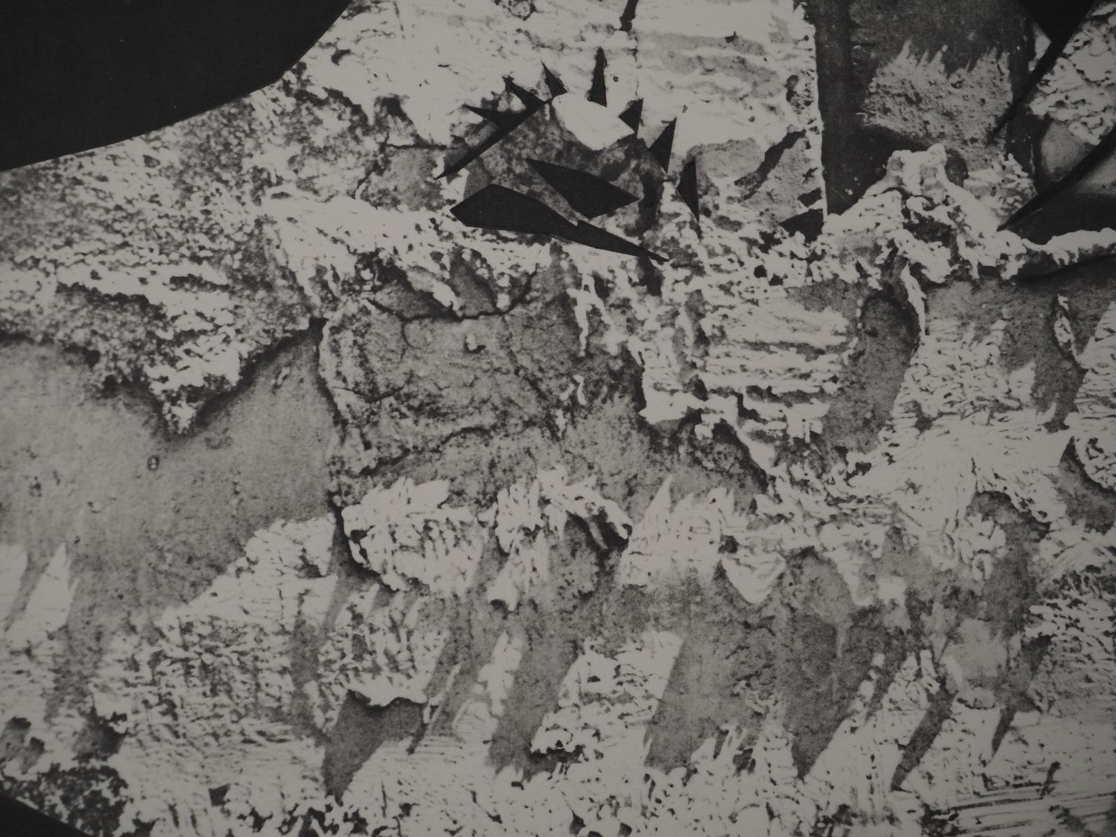 Pablo Picassodiurnes: On The Rock   Original Collotype And Stencil (Cramer #115)1962 photo for sale