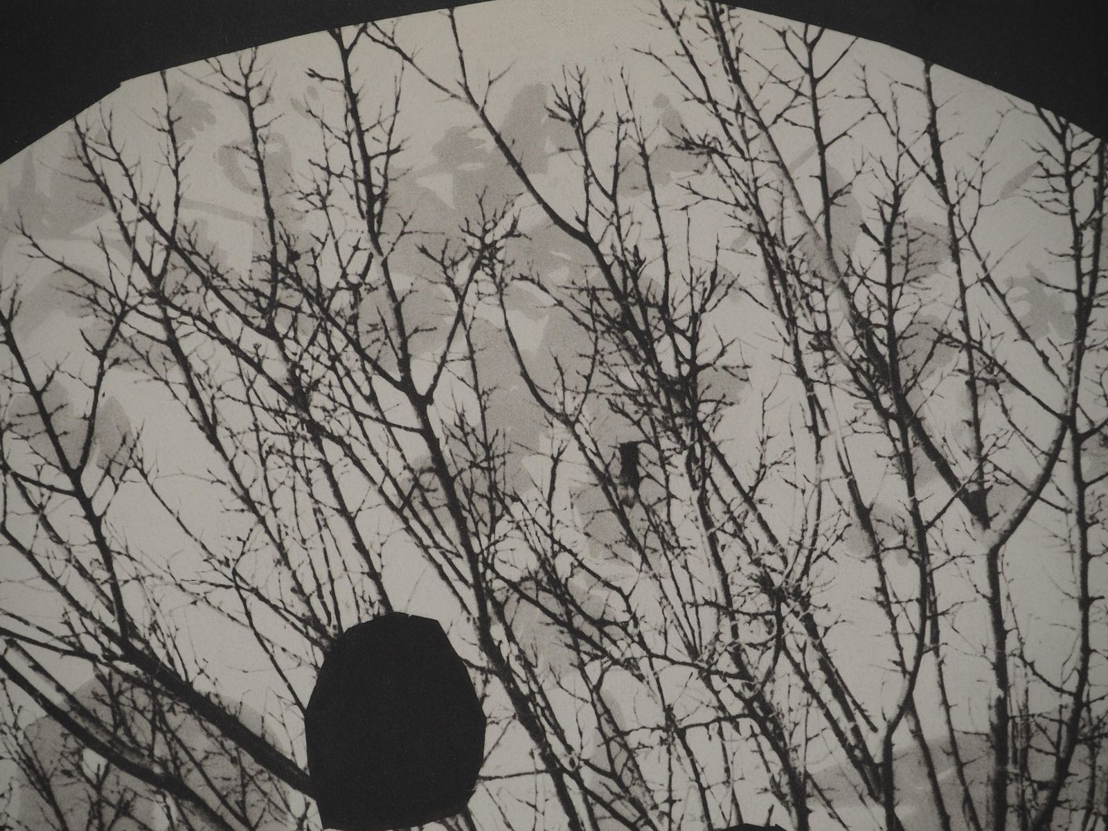 Pablo Picassodiurnes: The Guy In A Tree   Original Collotype And Stencil (Cramer #115)1962 photo vinterior