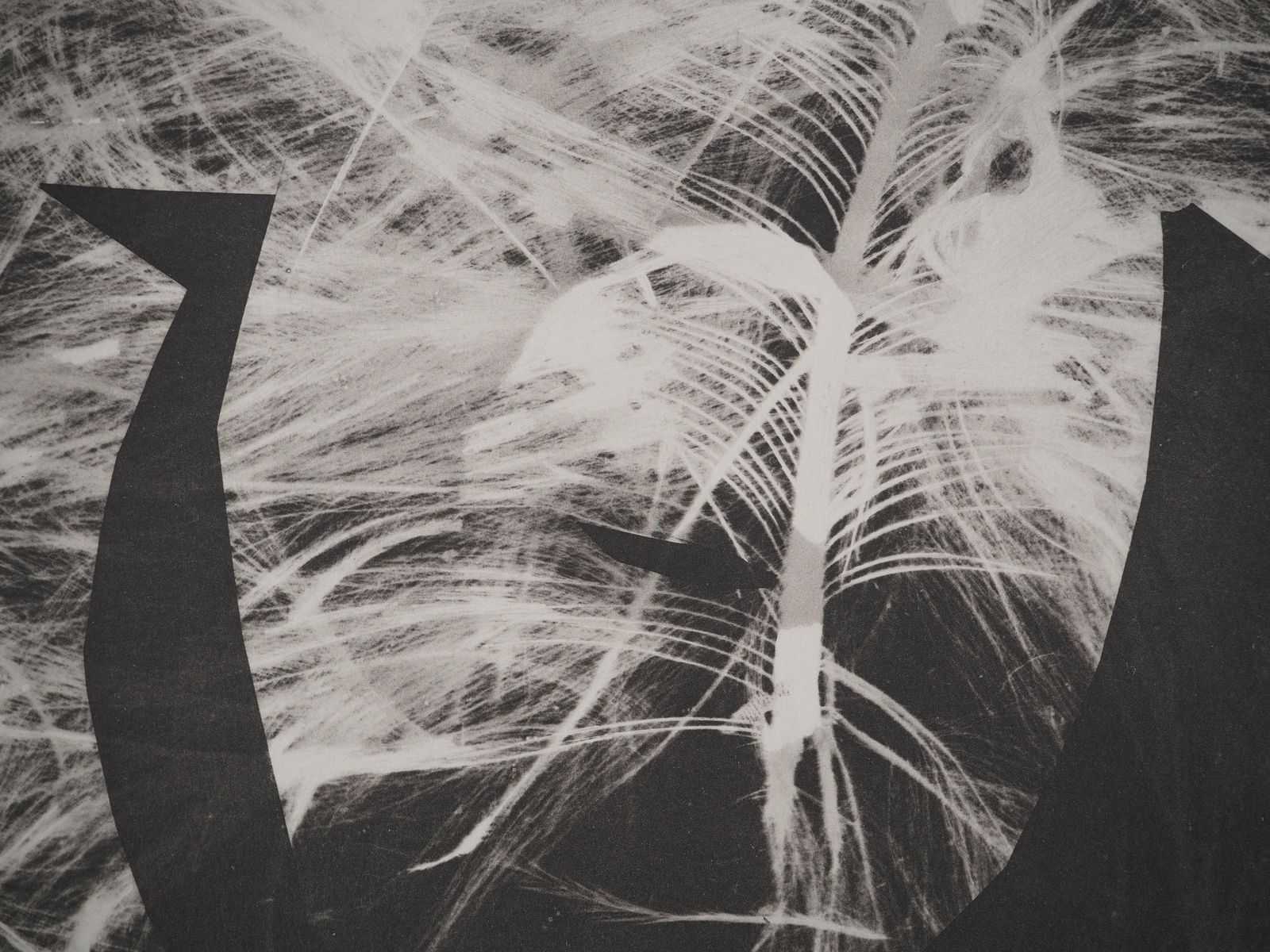 Pablo Picassodiurnes: Werewolf (On Fire)   Original Collotype And Stencil (Cramer #115)1962 photo Art