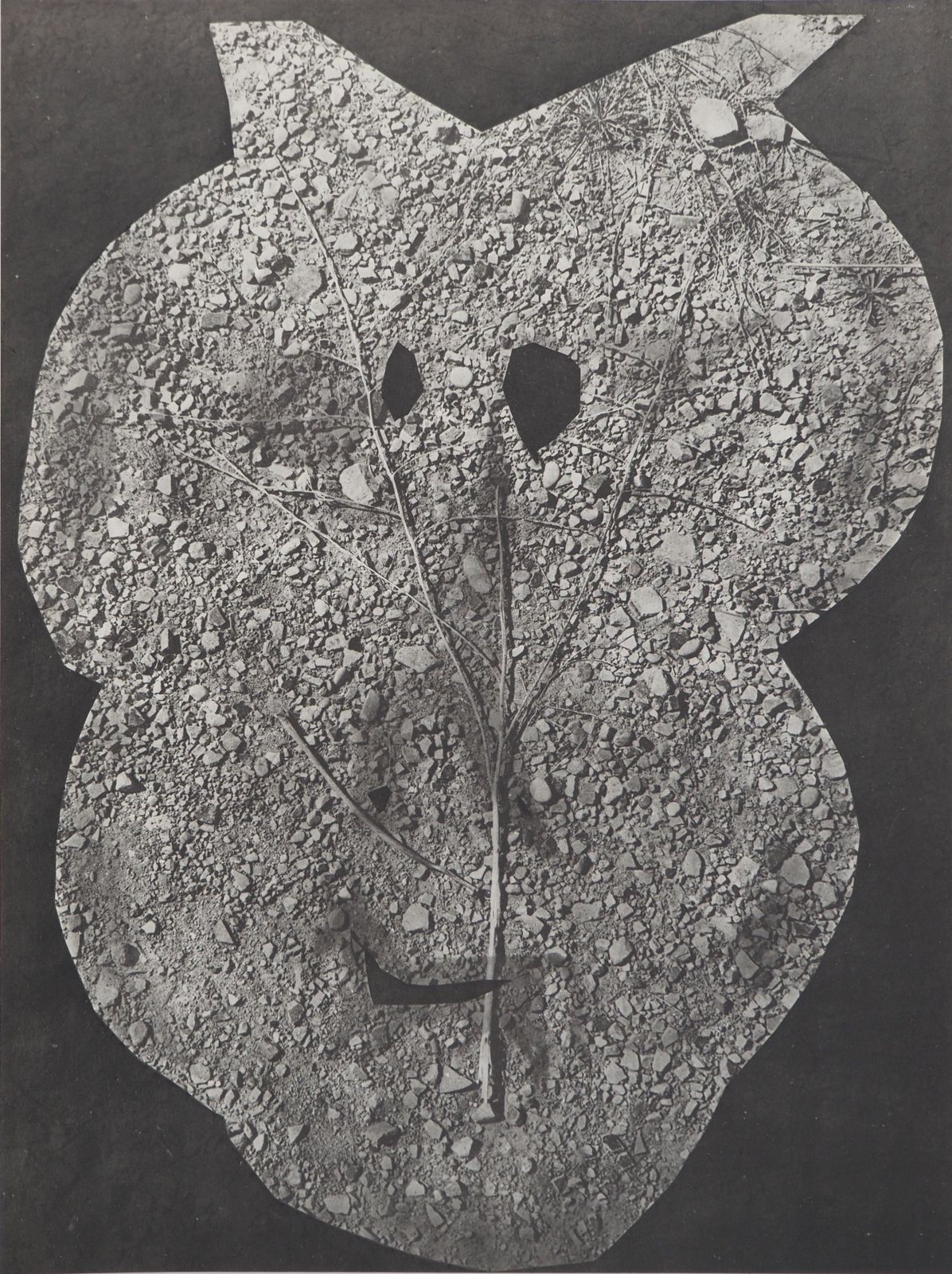 Pablo Picassodiurnes:  The Forest Floor   Original Collotype And Stencil (Cramer #115)1962