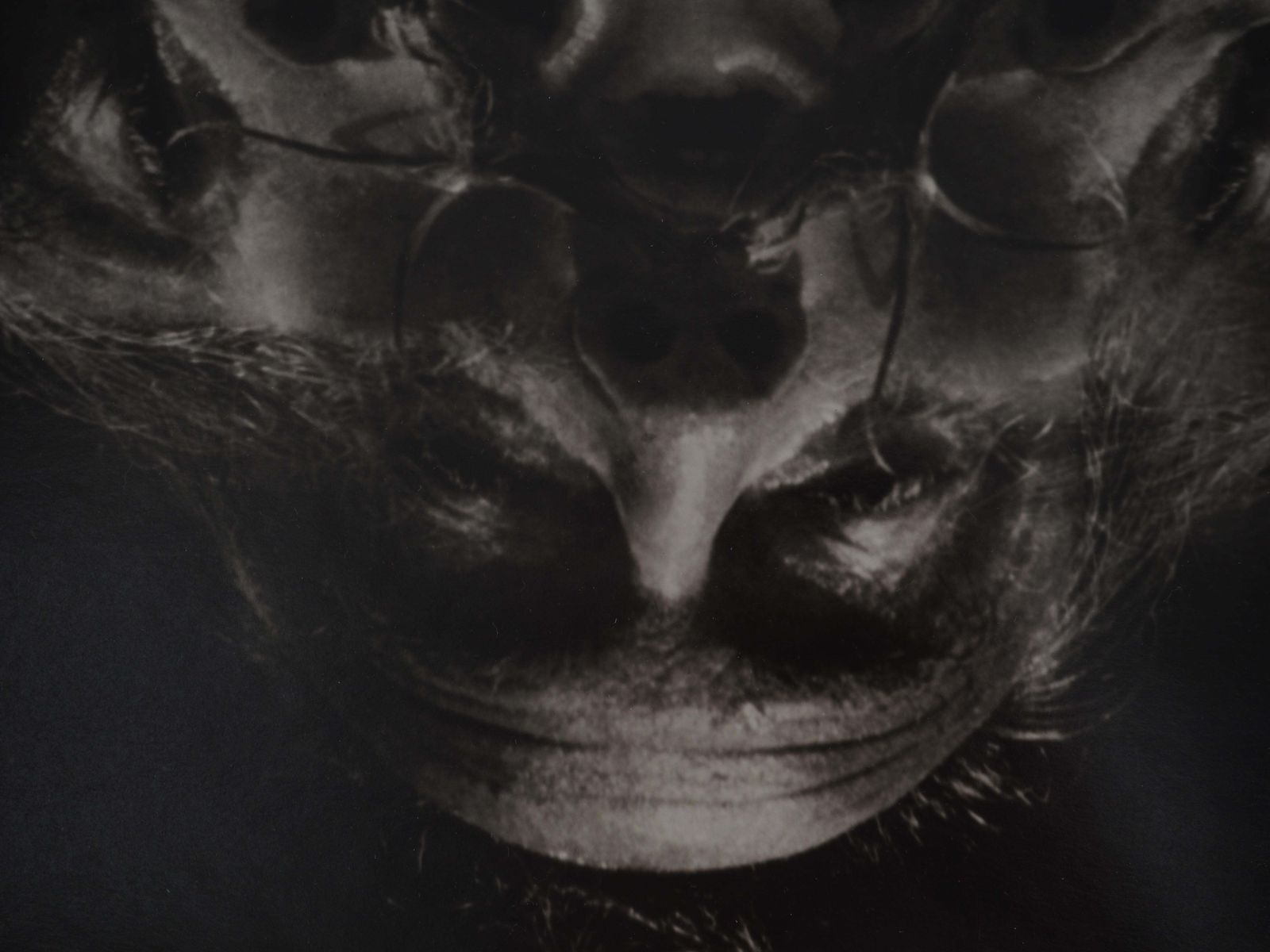 Marc Lacroixkaleidoscope Of Dalí   Original Gelatin Silver Photography, Signed And Ltd / 501971 photo buy