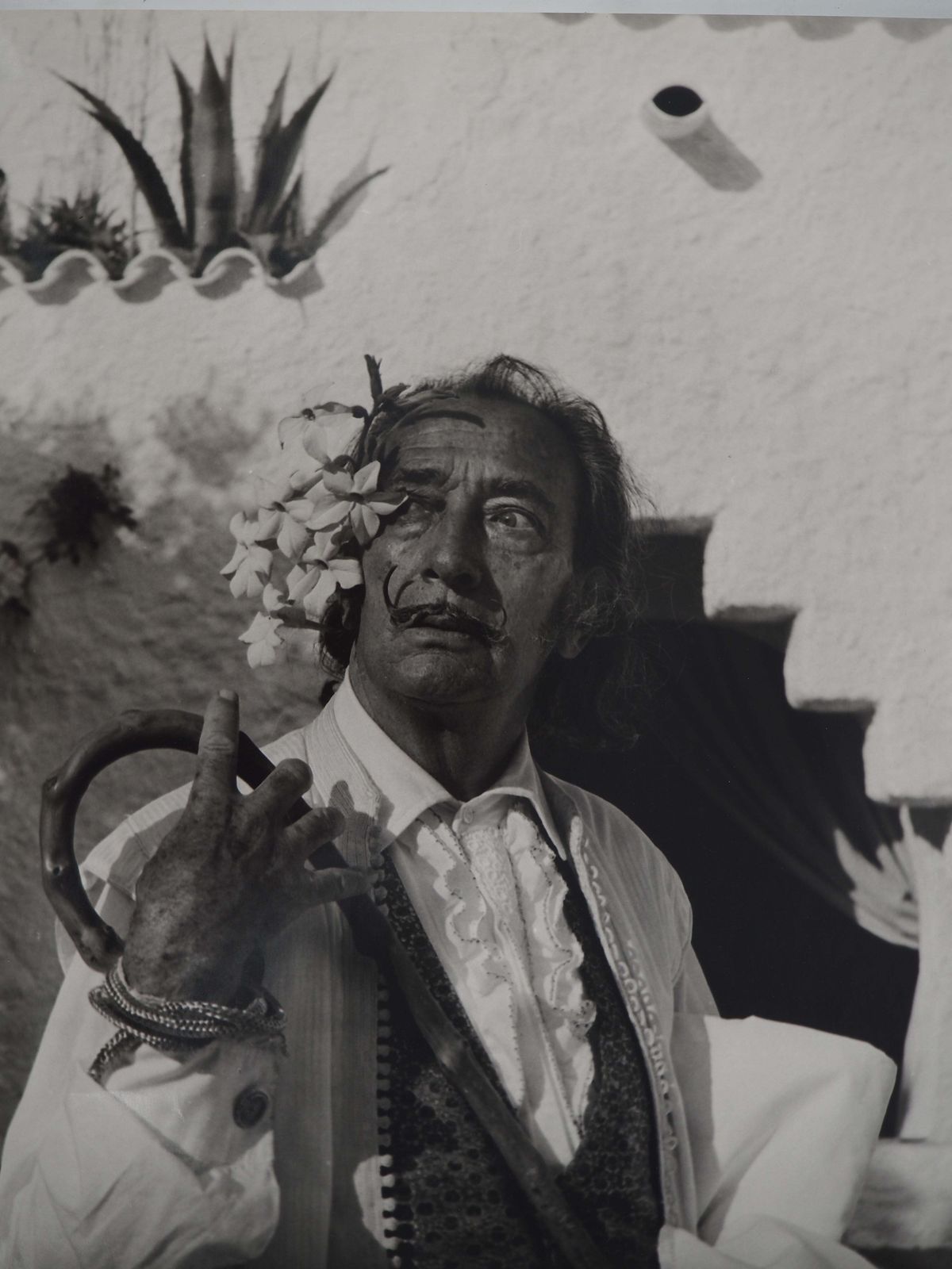 Marc Lacroixdalí With White Flowers   Original Gelatin Silver Photography, Signed1971 photo furniture