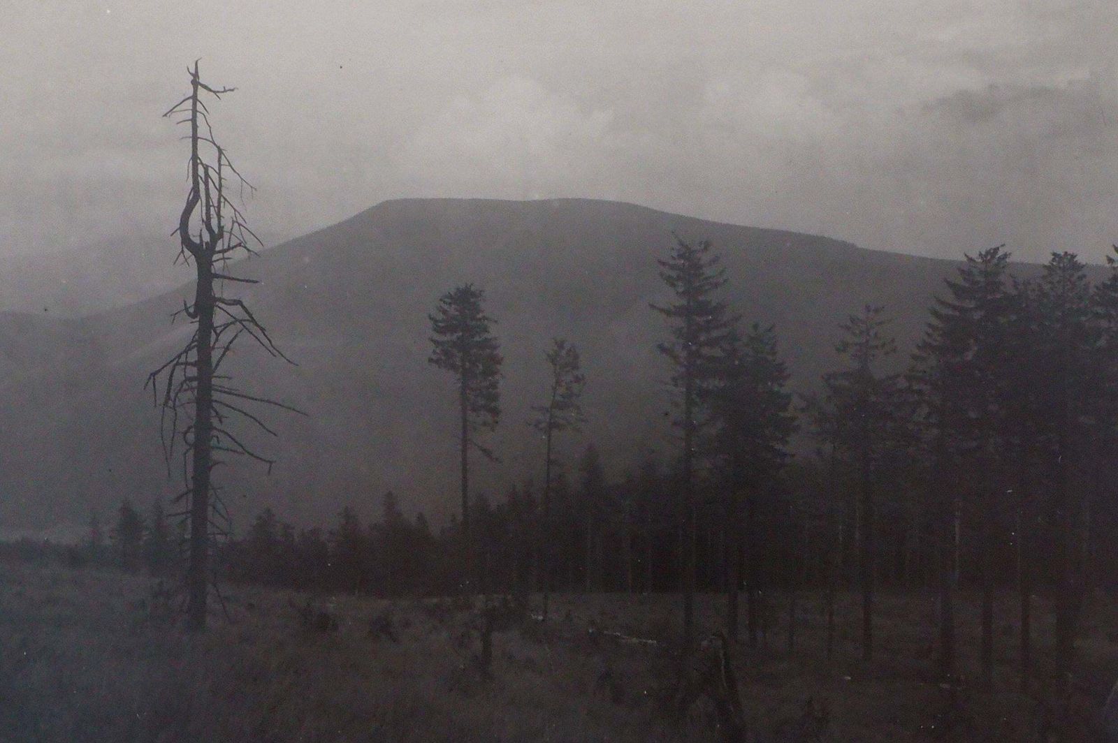 Josef Sudekbeskydy : Czech Mountains   Original Gelatin Silver Photograph, 19561956 photo furniture