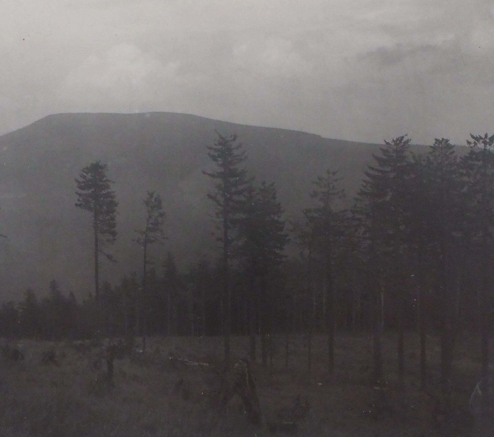 Josef Sudekbeskydy : Czech Mountains   Original Gelatin Silver Photograph, 19561956 photo 1024.0