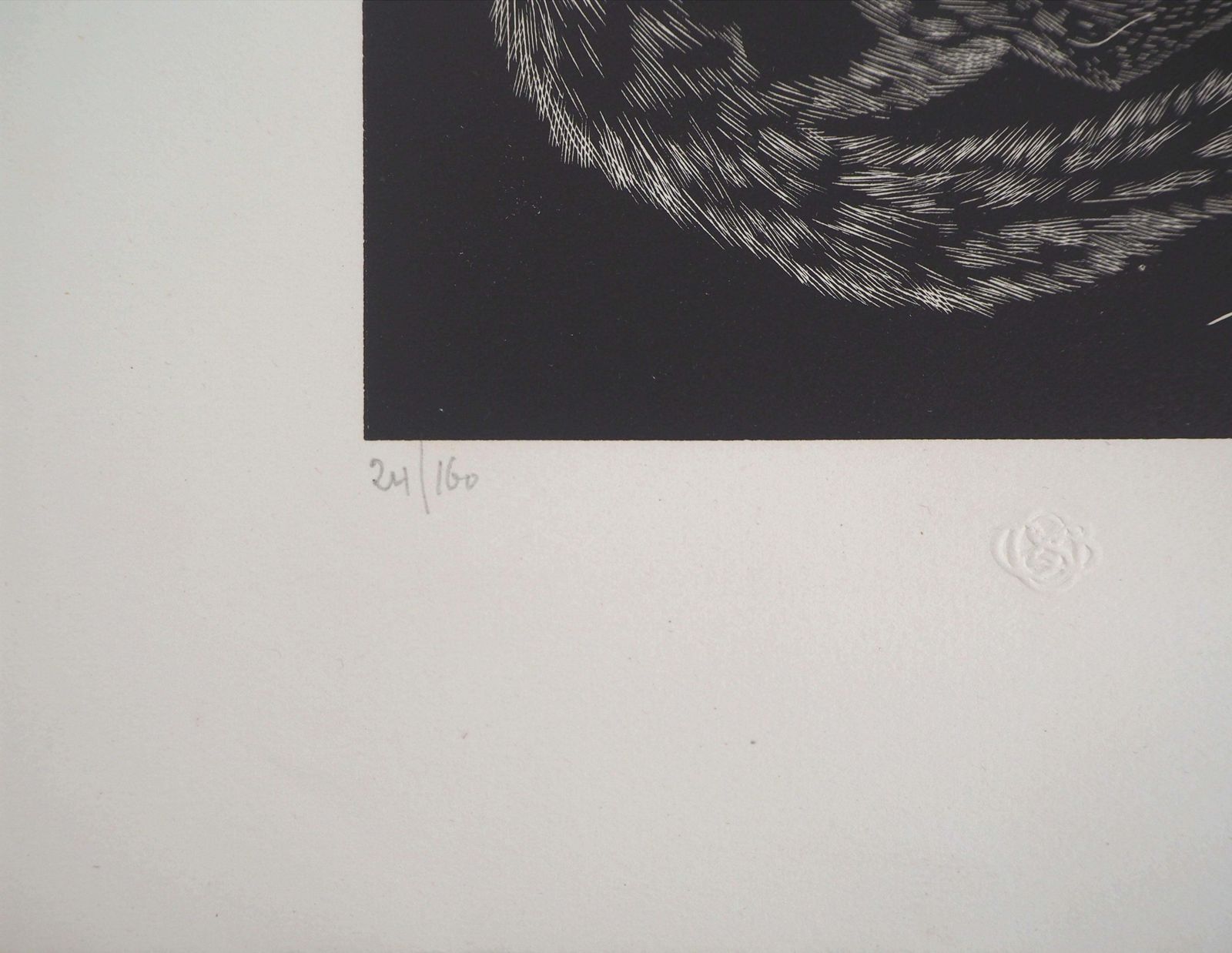 Léonard Tsuguharu Foujitacat   Original Woodcut, Handsigned And Numbered /160   Buisson #27 031927 photo 5995.0