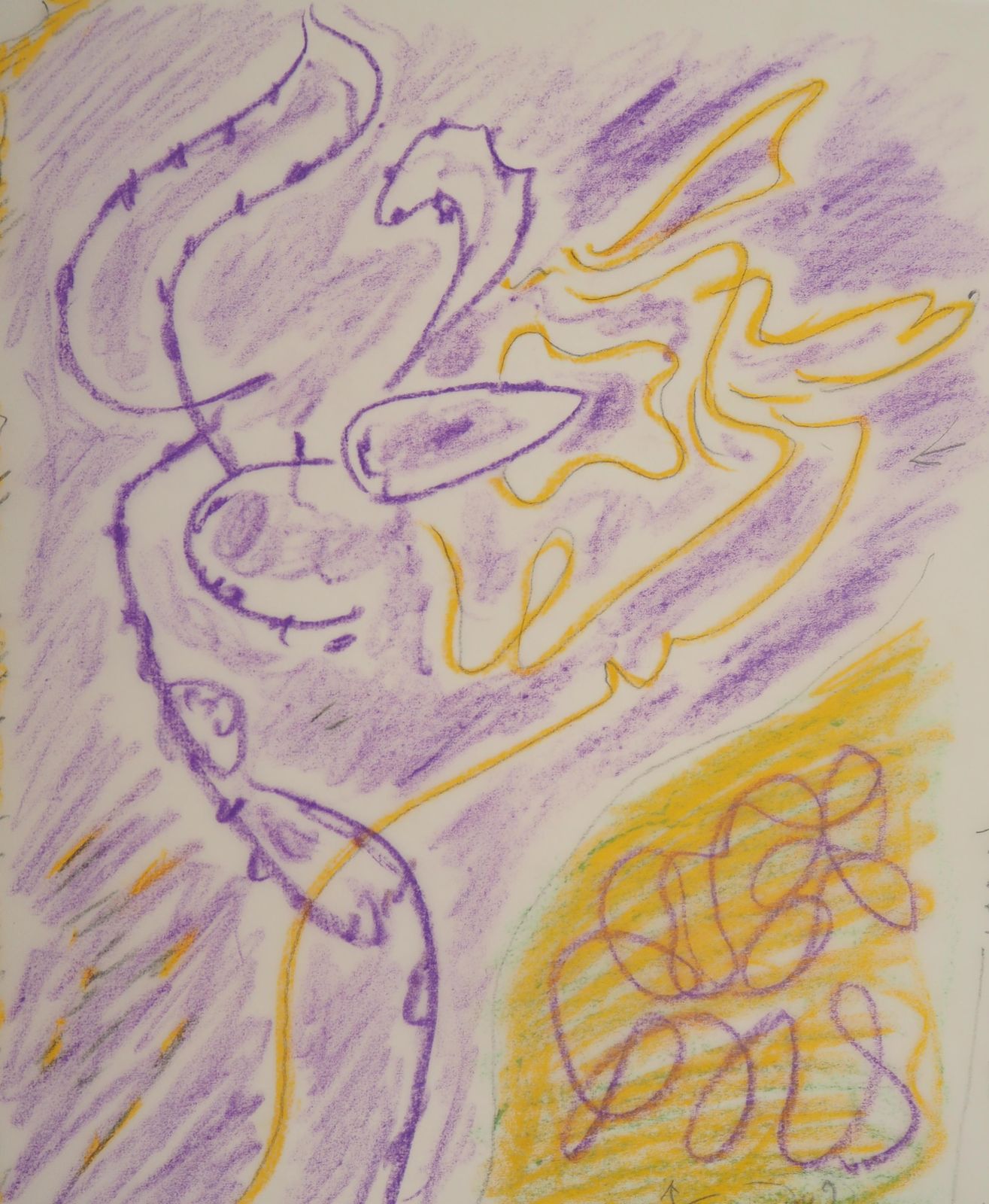 André Massonsurrealistic Flower   Original Colour Pencil Drawing photo Art