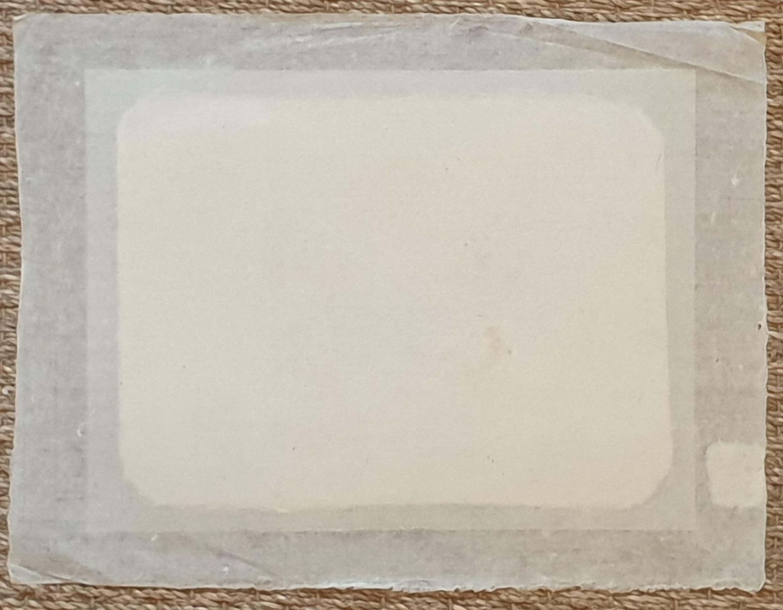 La Roche Laffittestudy Of A Butterfly, Watercolour On Silk Applied To Handmade Paper. photo vinterior