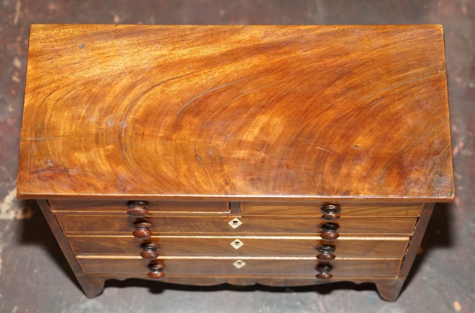 Antique Georgian Circa 1780 1820 Seashell Specimen Collectors Chest Of Drawers photo vinterior