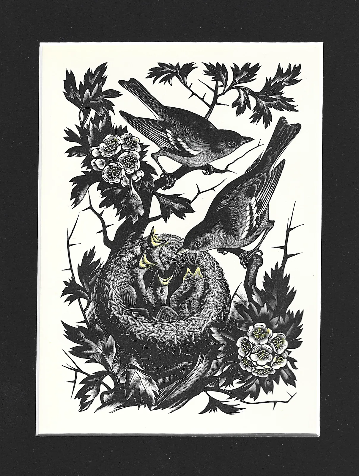 Lithograph From A Woodcut ‘Chaffinches On Hawthorn’ By Agnes Miller Parker 1936 photo furniture