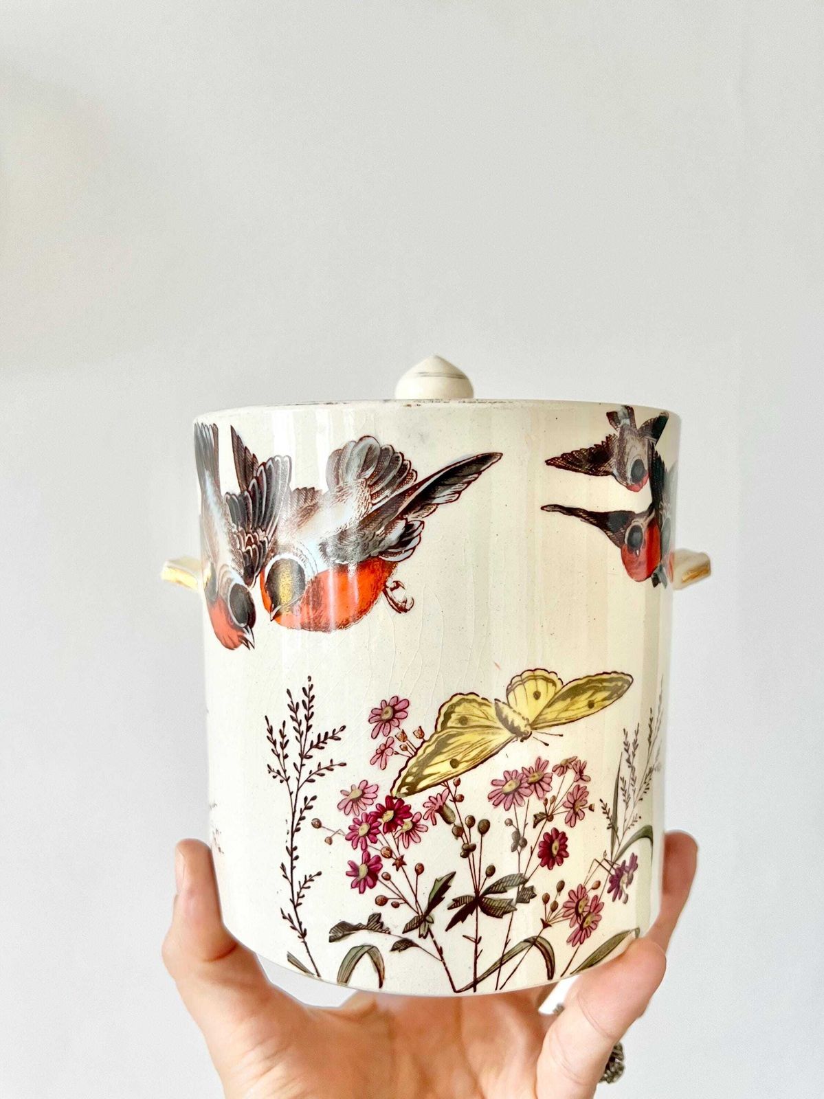 photo furniture Victorian Biscuit Barrel Lidded Antique Hand Painted Bird Pattern Bone China Storage Kitchen Shelve Decor Aesthetic Movement Rare