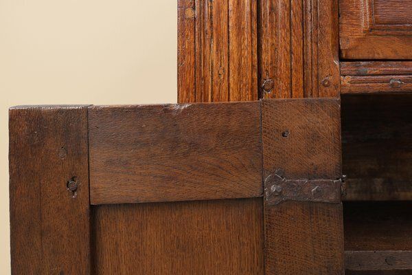 5003.0 Belgian Hand Carved Single Door Cabinet In Oak, 16th Century photo