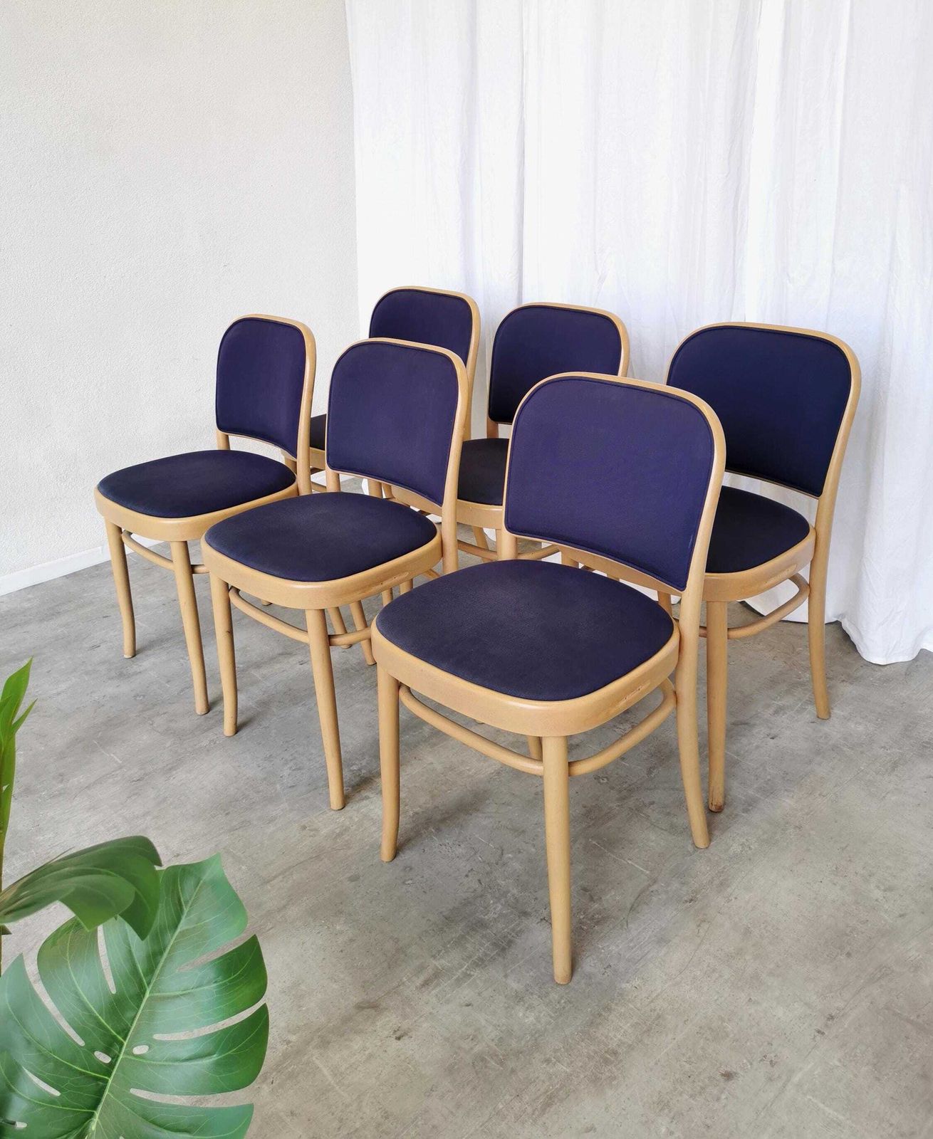 Set Of 6 Vintage Dining Chairs / Design Joseph Hoffmann For Thonet / 1970s Italy / Seat And Back In Royal Blue Fabric / Wooden Bentwood Base