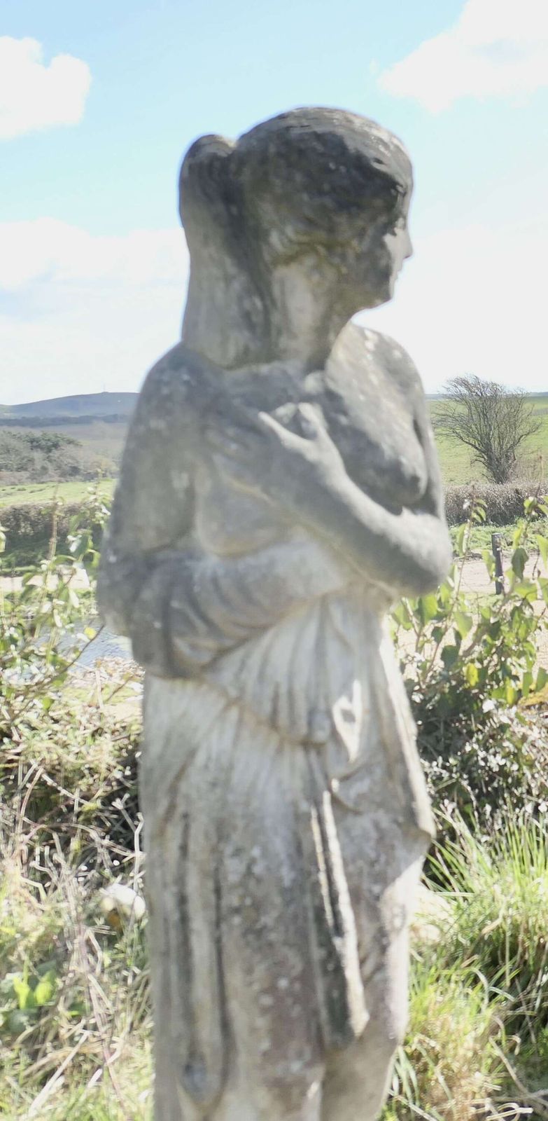 Large Weathered Garden Statue Of Venus photo buy