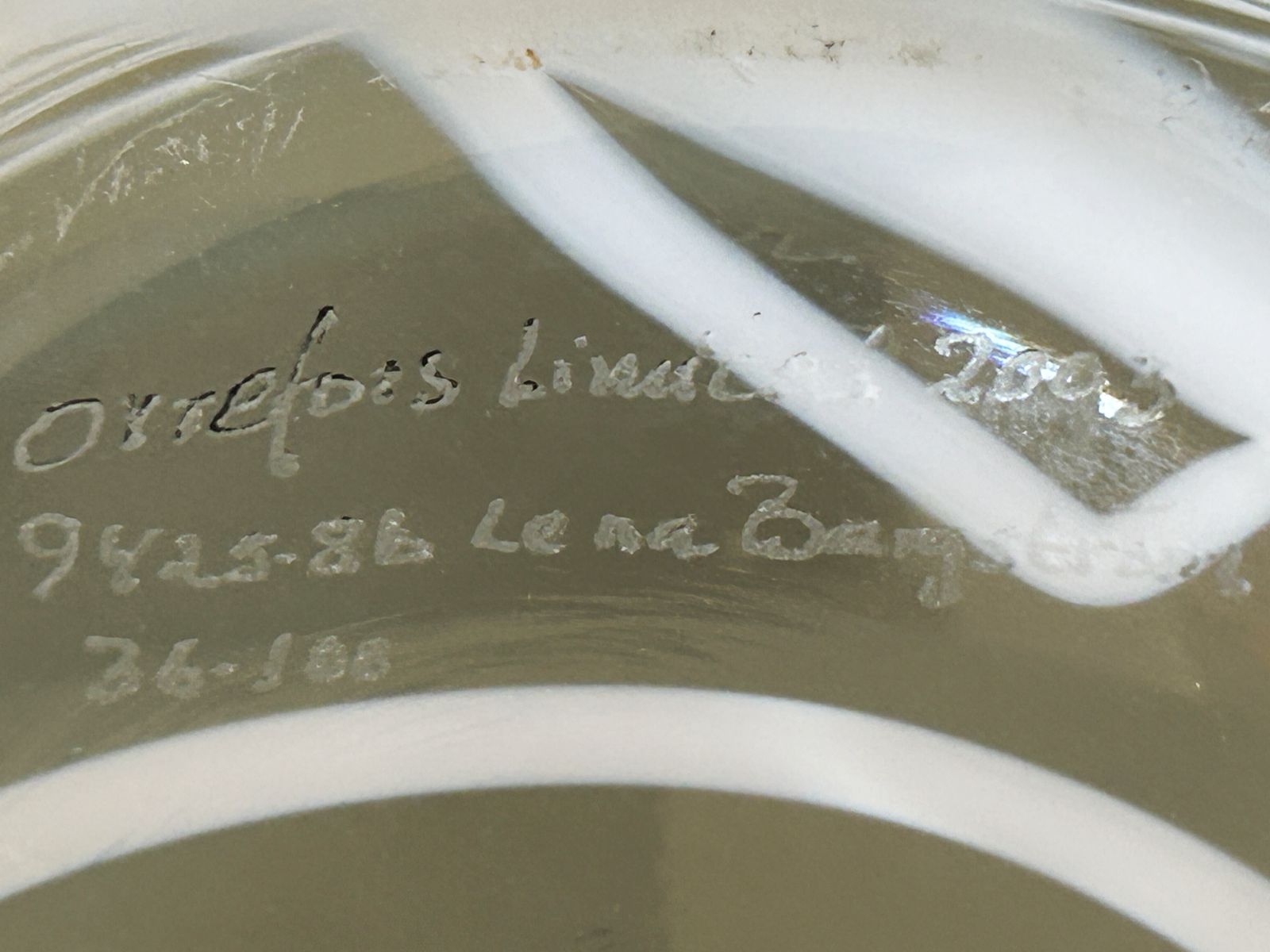 Glass Bowl By Lena Bergström, 21st Century photo furniture