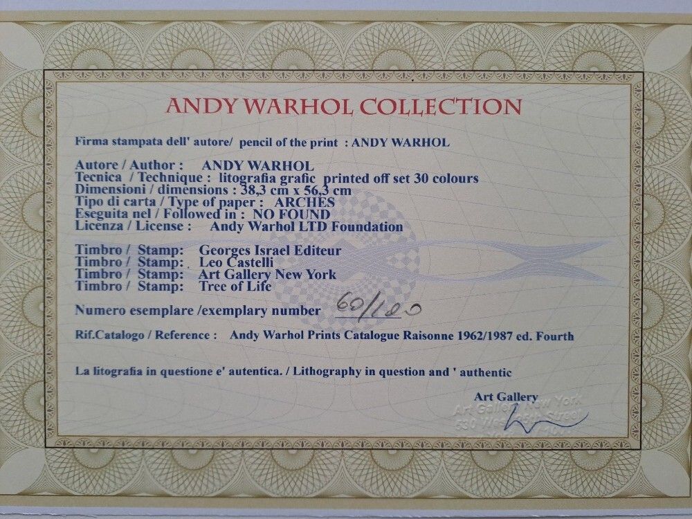 Andy Warhol Signed Lithograph Debbie Harry Certificate Leo Castelli photo for sale
