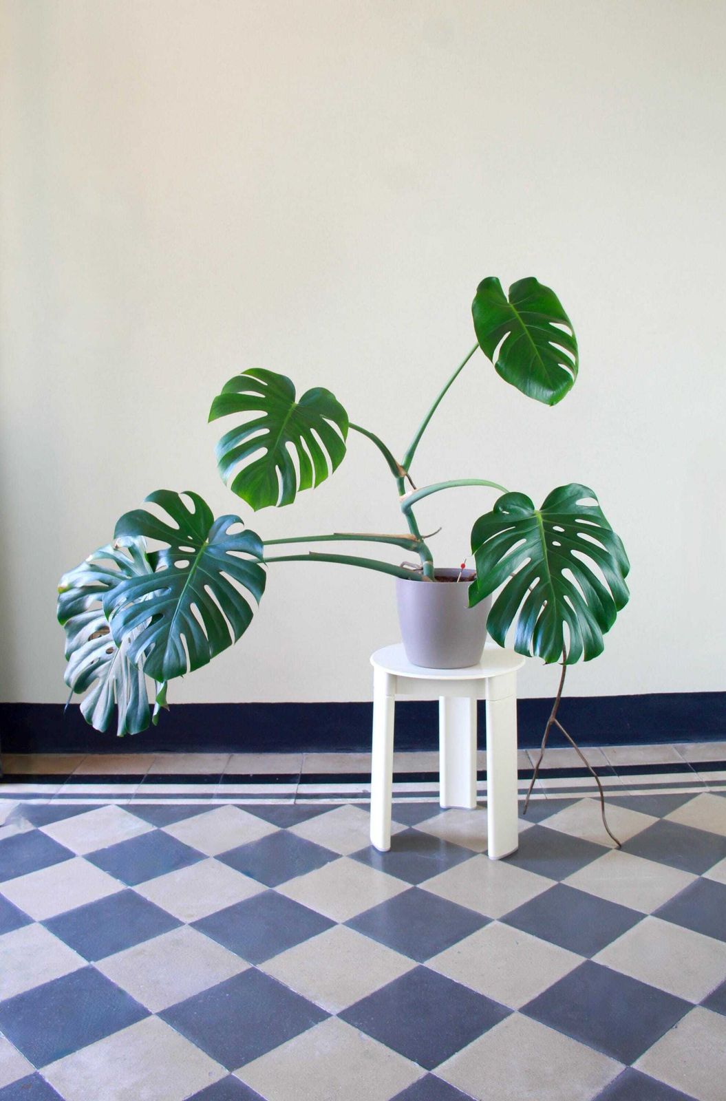 Giacomino, Vintage Space Age Stool By Olaf Von Bohr For Gedy, Italy, 1970s photo for sale