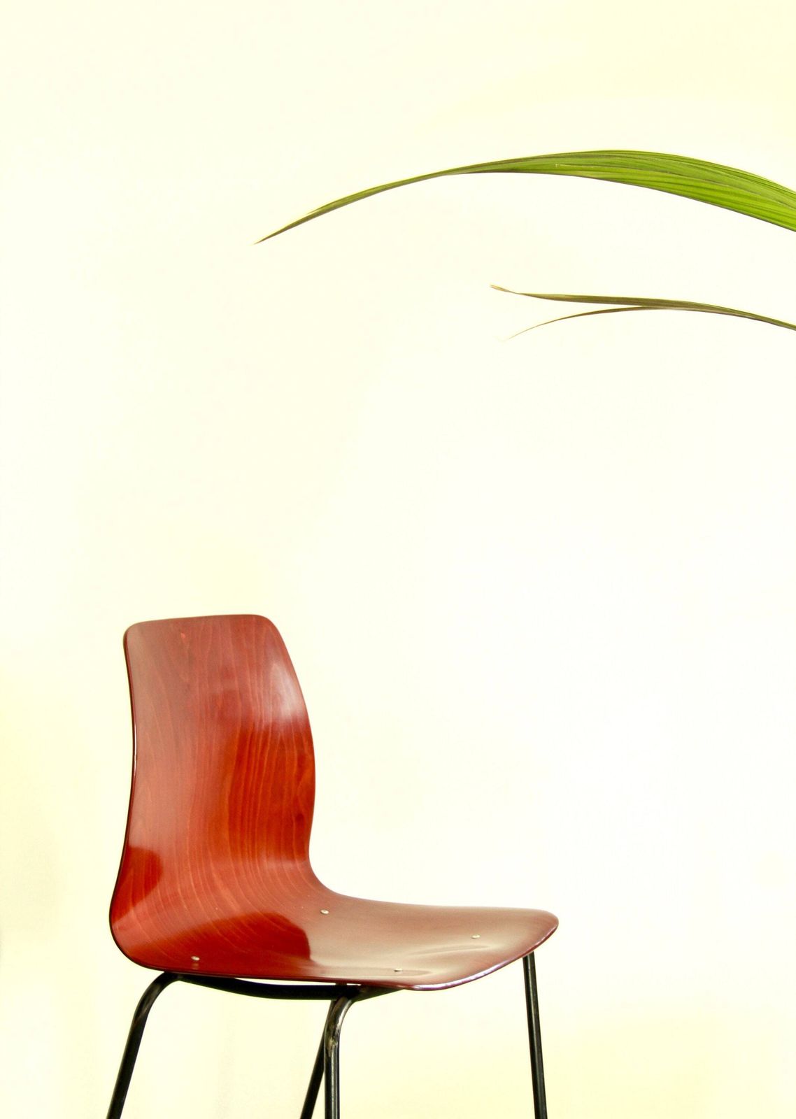 Scocca, Mid Century Chair By Pagholz, West Germany, 1956 photo vintage