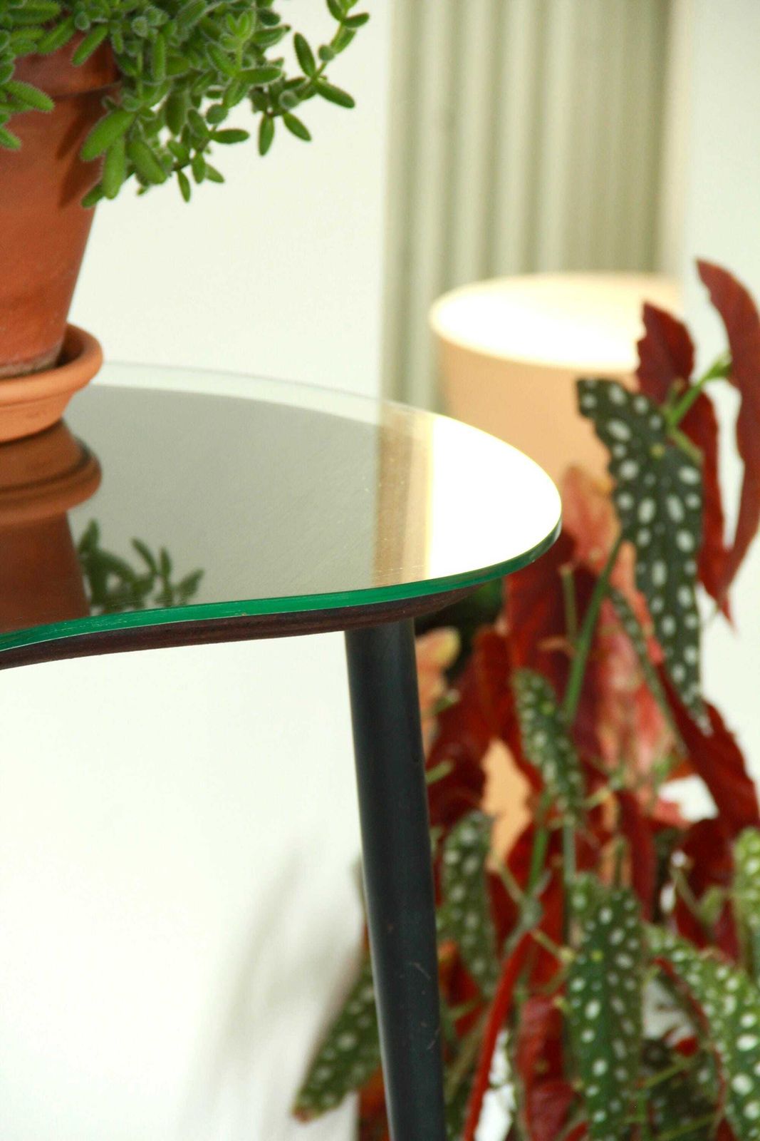 Fagiolino, Mid Century Bean Coffee Table, Italy, 1950s photo for sale
