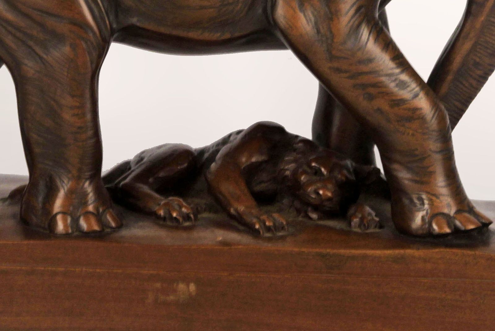 Early 20th Century African Elephant, Tiger And Woman Rider Varnished Wood Sculpture Signed By J. Zanetti photo vintage