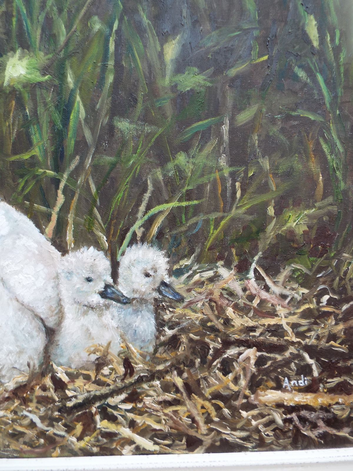 Swan And Cygnets Original Large Oil Painting Signed Framed Wildlife Andi J Lucas photo 2500.0