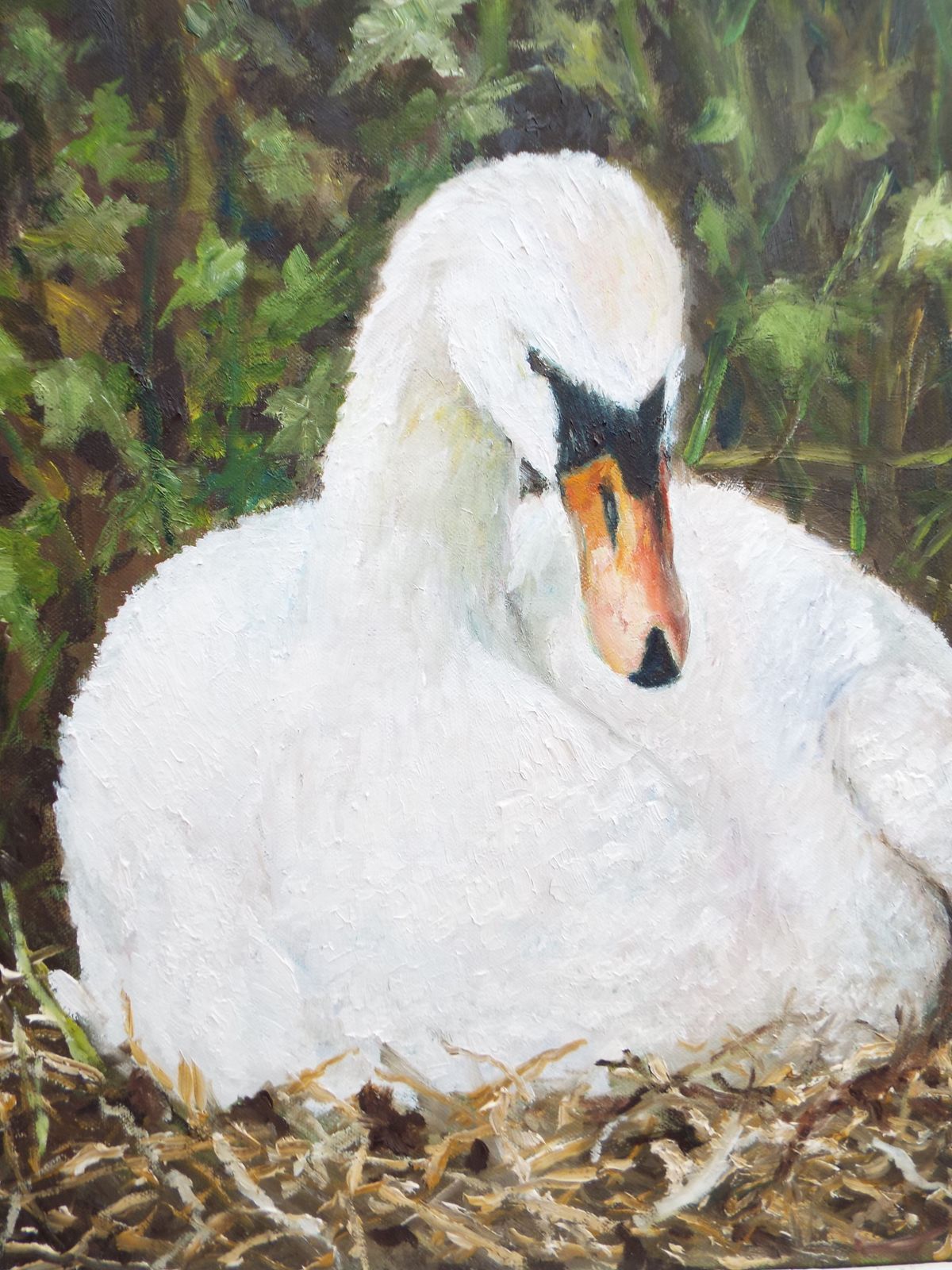 Swan And Cygnets Original Large Oil Painting Signed Framed Wildlife Andi J Lucas photo buy