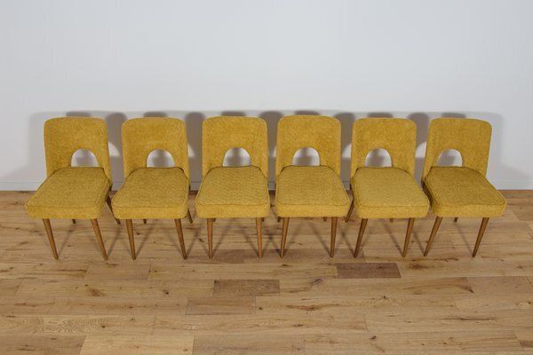 Set Of Polish Shell Chairs From Bydgoszcz Furniture Factory, 1960s photo furniture