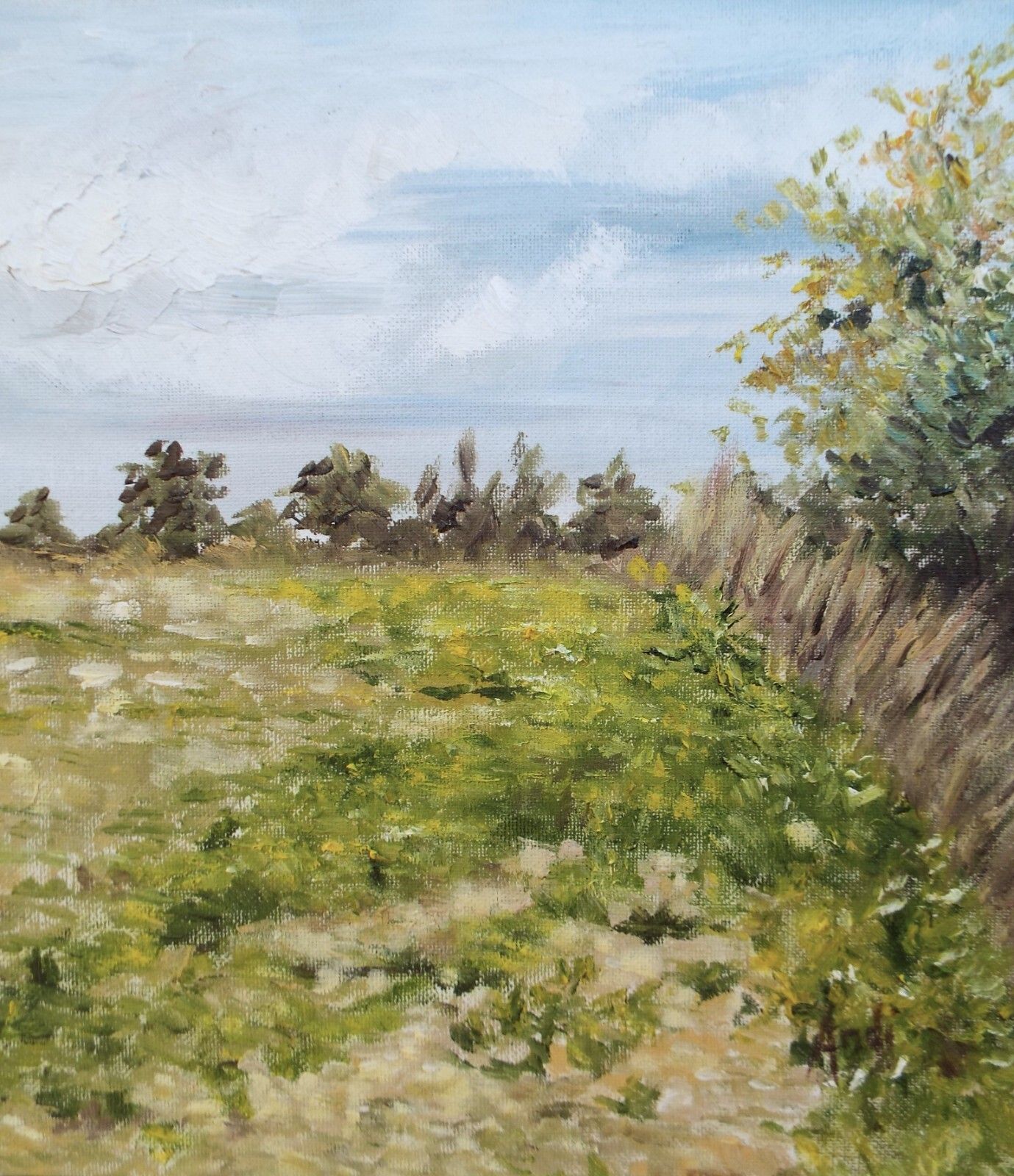 Summer Field Landscape Farm Original Oil Painting Signed Framed Andi J Lucas photo 282.0